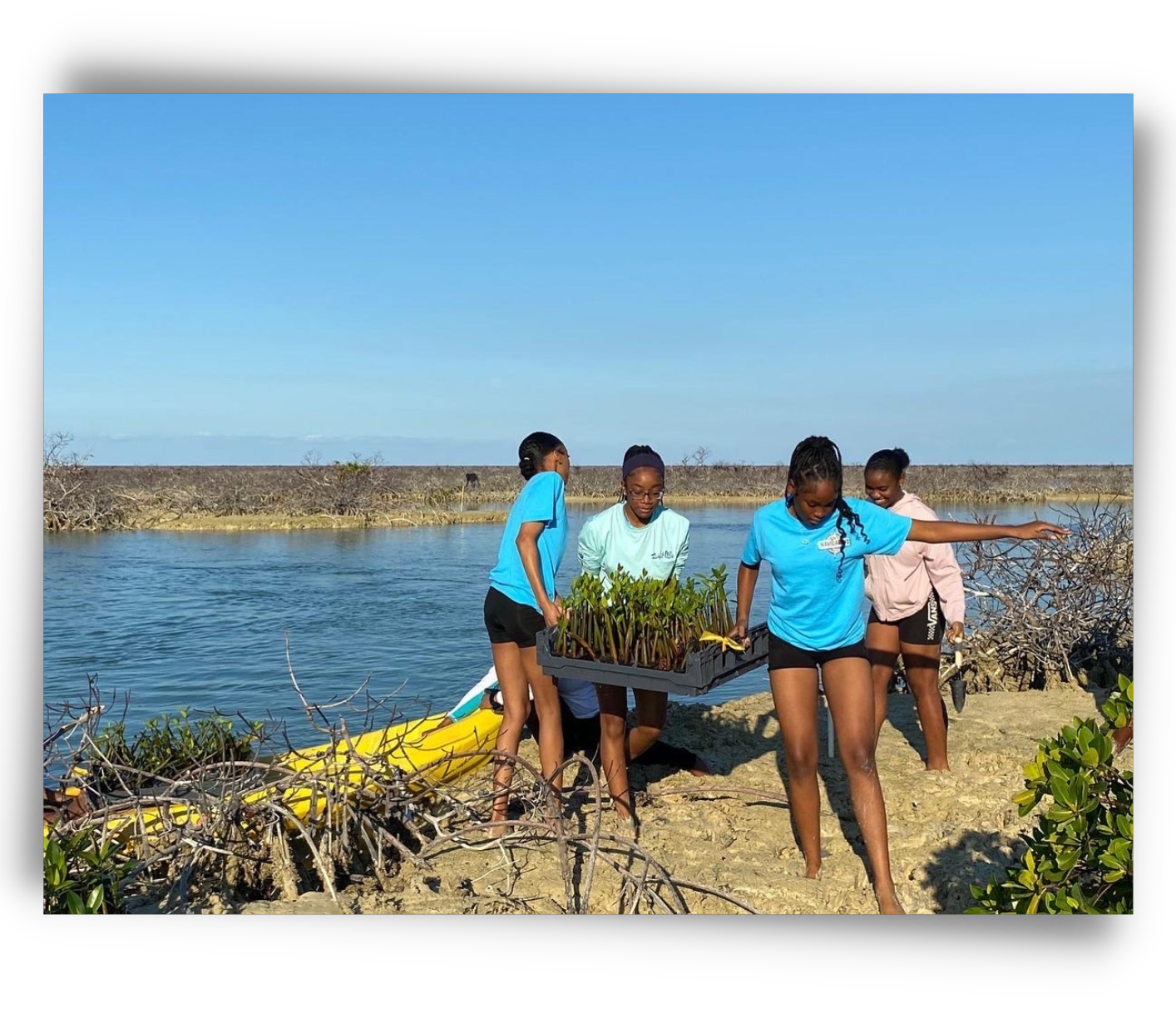 world-wetlands-day-2023-feature-cpag-rih